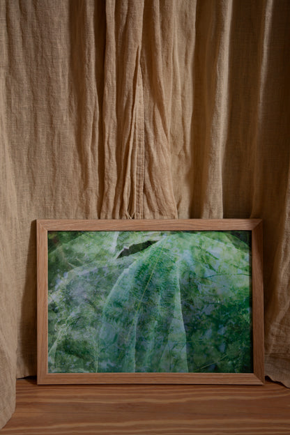 Healthy Hope - Forest Green
