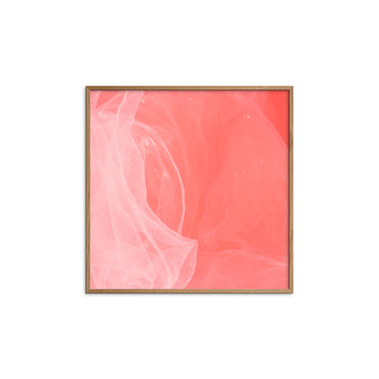 Find Freedom - Queen Coral