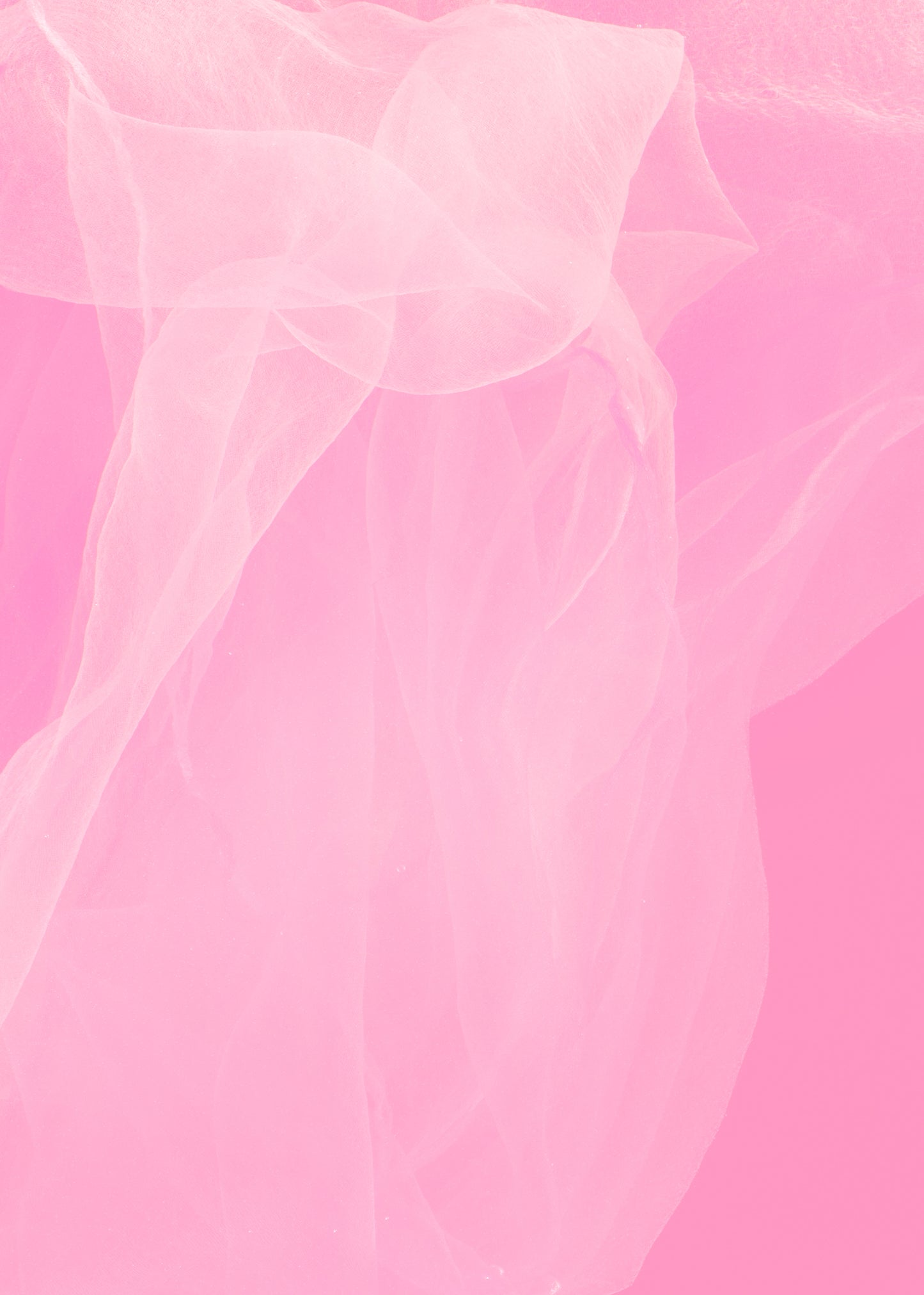 Flow Free - Warm Pink