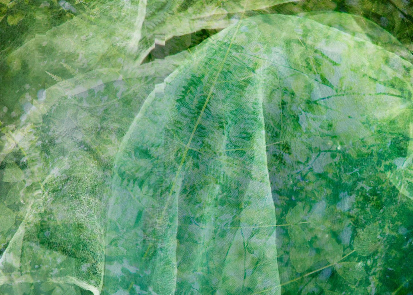 Healthy Hope - Forest Green