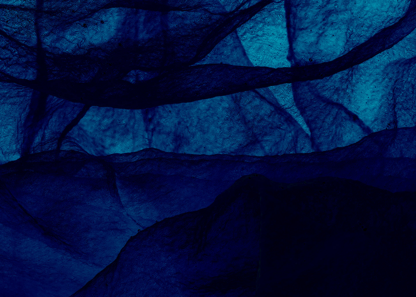 Soft Shield - Competent Blue